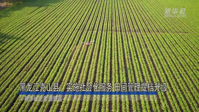 黑龙江克山县:实施社会化服务 田间管理提档升级