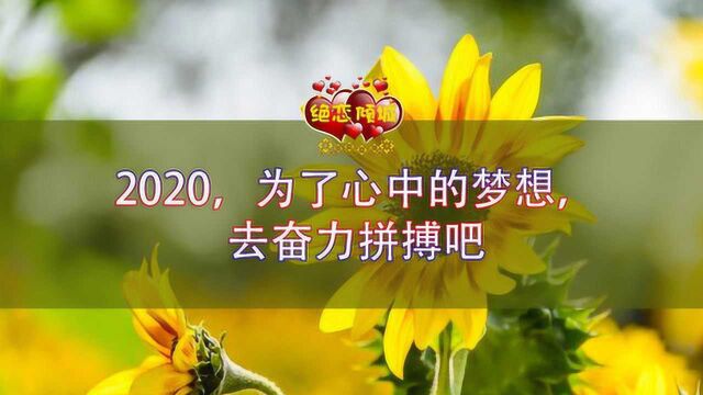 2020,为了心中的梦想,去奋力拼搏吧