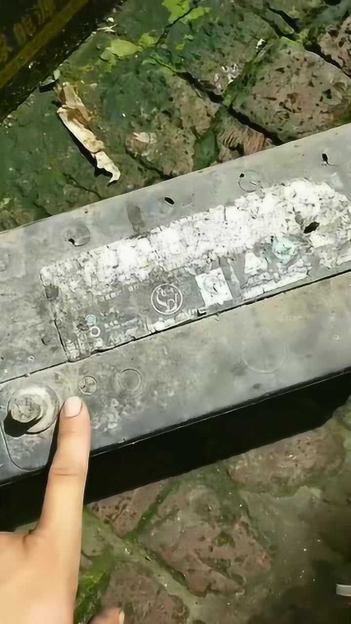 教你骆驼电瓶如何辨别真伪觉得有用给个