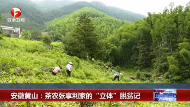 安徽黄山:茶农张享利家的“立体”脱贫记