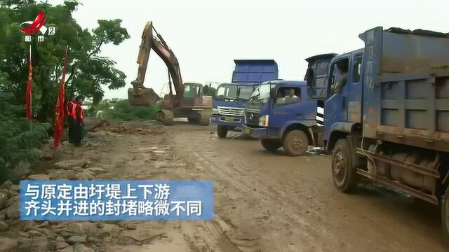 鄱阳遭遇多日特大暴雨 问桂道圩堤发生漫决 今日正式封堵!