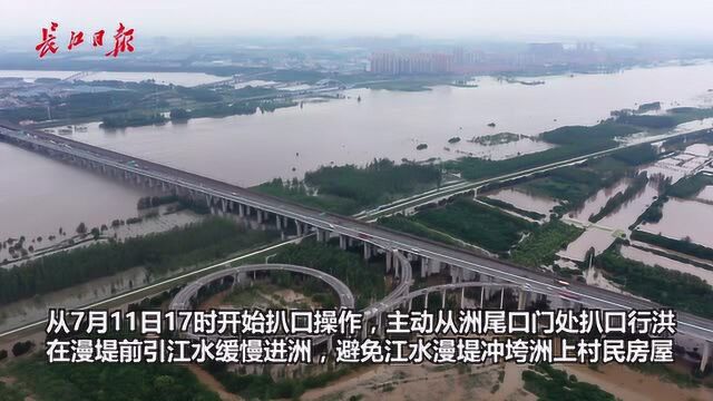 武汉市天兴洲民垸扒口行洪,洲上457名居民已全部安全转移