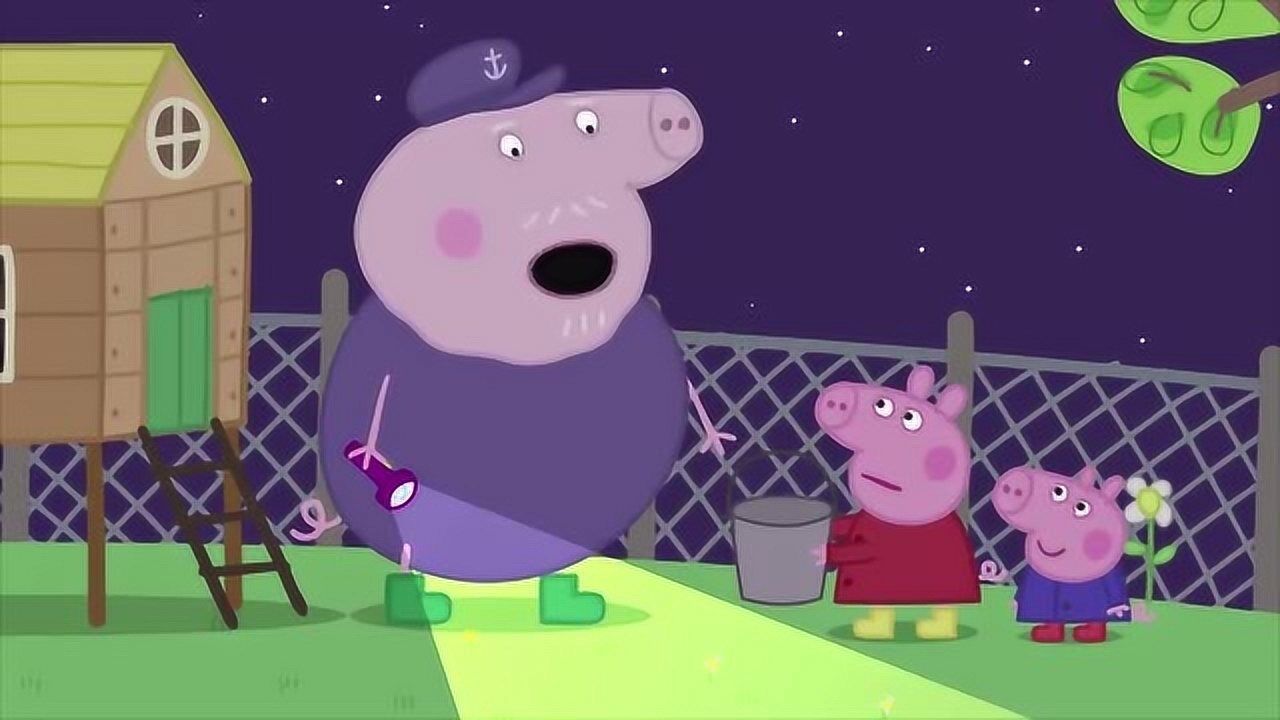 黑天到了,与白天与众不同,夜晚有夜晚的动物!