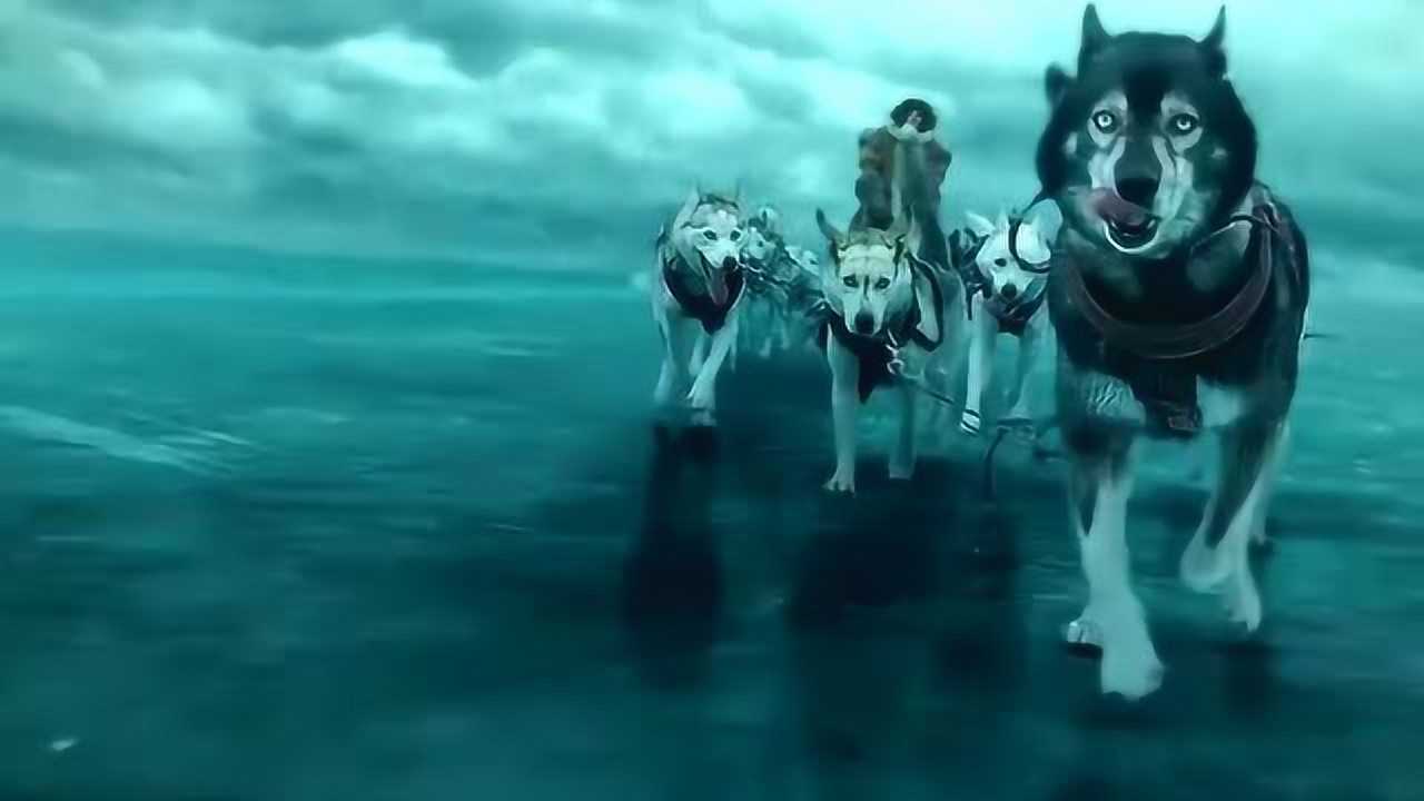 《多哥》:雪橇犬拉着主人日夜兼程,翻山过水送疫苗