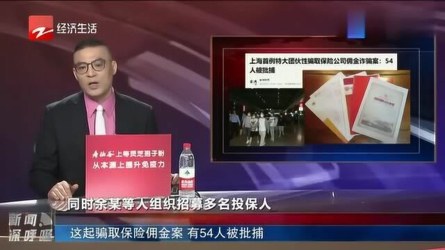 这起骗取保险佣金案,有54人被批捕