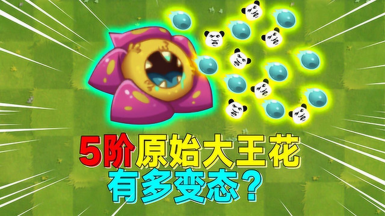 pvz2:5阶原始大王花到手!他的"毒珠"究竟有多厉害?