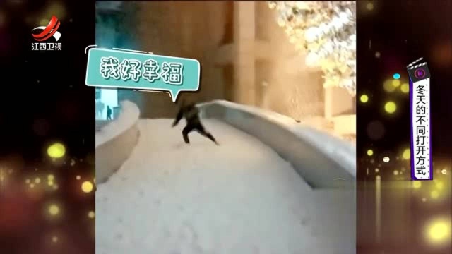 炎热的夏天,带大家看一下冬天的雪,清凉一下