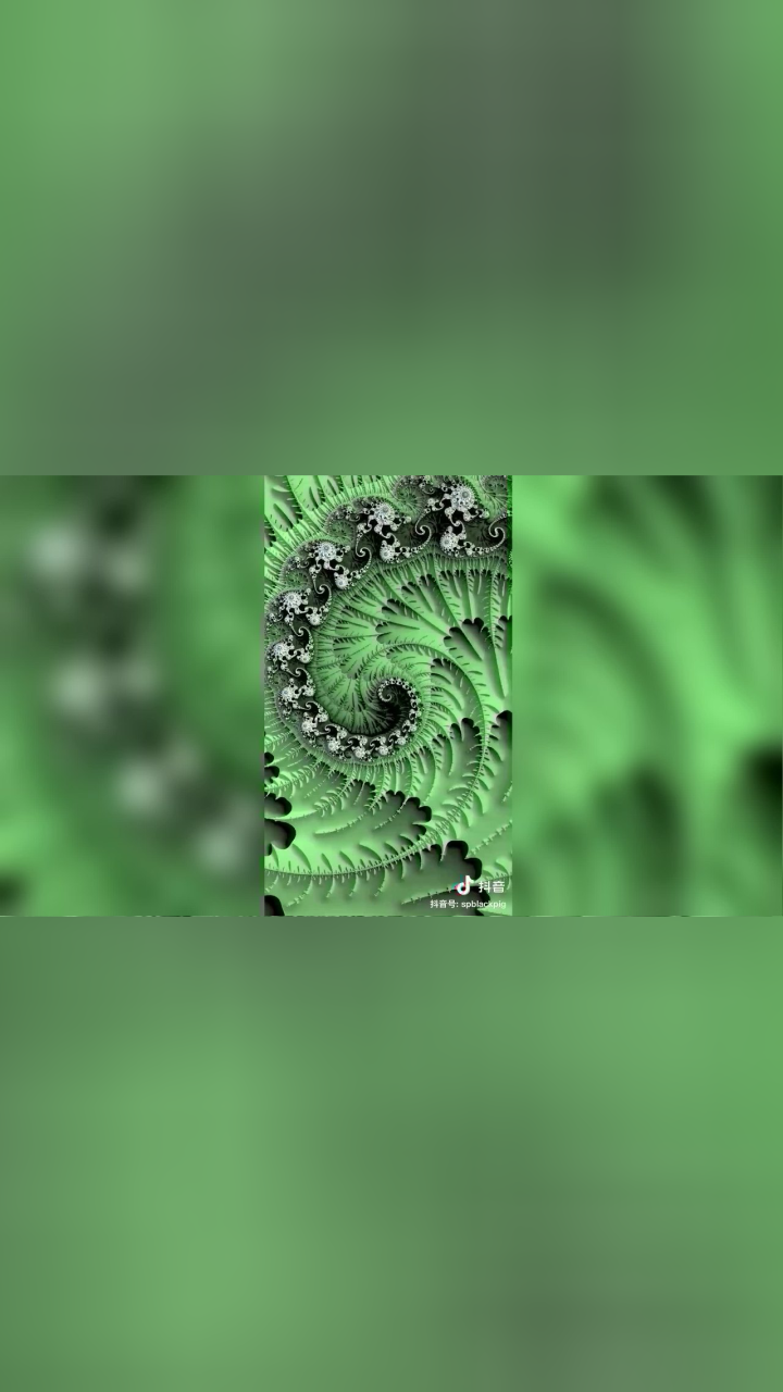 上帝的指纹——曼德勃罗集_腾讯视频
