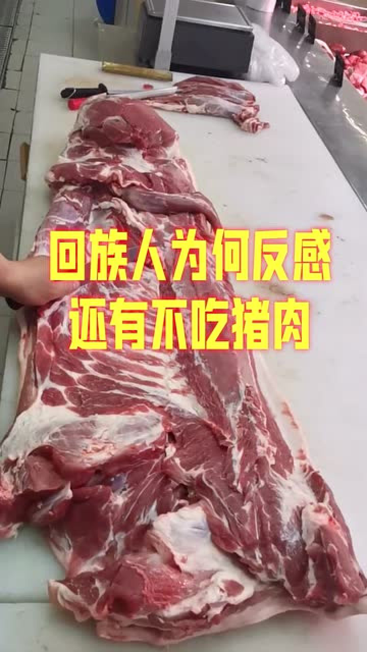 宁夏的回族人为何不吃猪肉还反感呢看完你就明白了