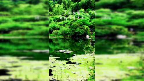 #随手拍生活#木格措五色湖，一个门瞬间能让人安静下来的圣地！手机随拍分享！📱🎥