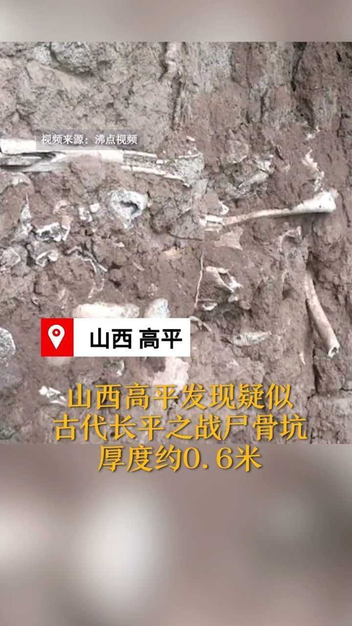 山西高平发现疑似长平之战尸骨坑厚约06米长度超20米