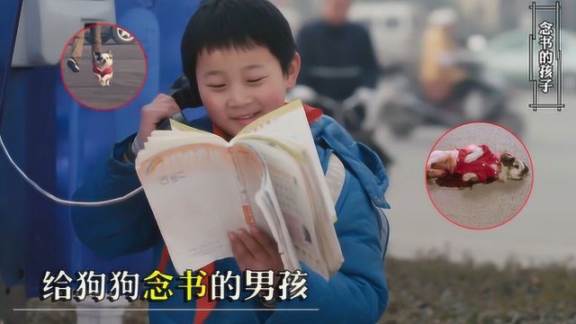 念书的孩子2:小男孩进城上学,卖废品挣钱,打电话给狗狗念书听