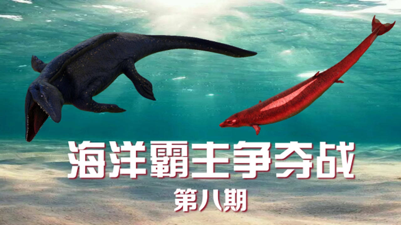 方舟生存进化海洋霸主排位赛第八期沧龙对战龙王鲸