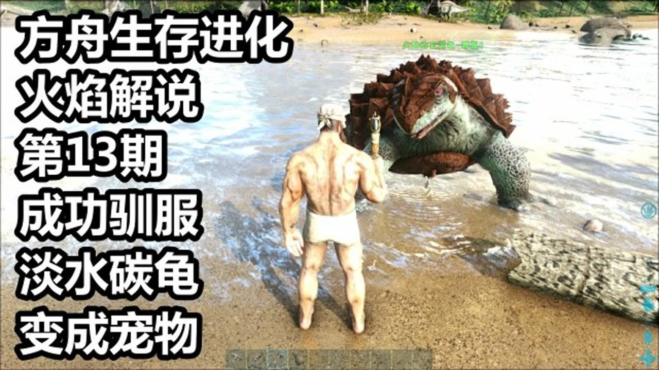 方舟生存进化 火焰解说 第13期 成功驯服淡水碳龟 变成宠物