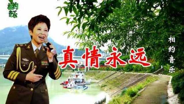 董文华一首《真情永远》经典歌曲,歌声太美了,超级好听!