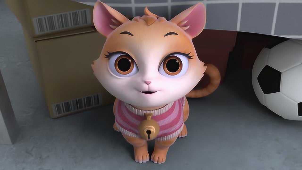 小猫咪丽的"晚安喵"放送,来和咪丽一起打招呼吧
