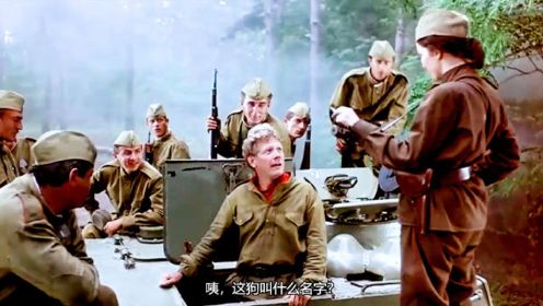战争片：纳粹特工队巧夺坦克忘记放哨，打开顶盖发现被苏军包围