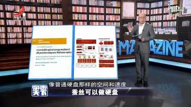 中国新闻周刊:春蚕到死丝方尽,蚕丝可以做硬盘