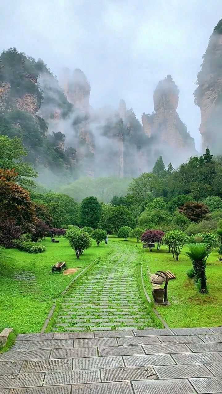 烟雾缭绕人间仙境