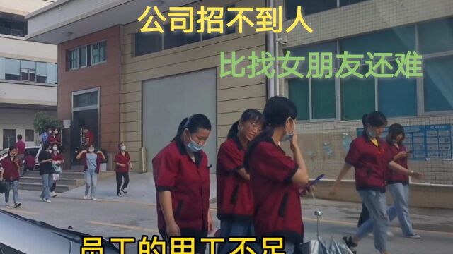 什么情况,这个公司招人竟然比找女朋友还难,老板都急了