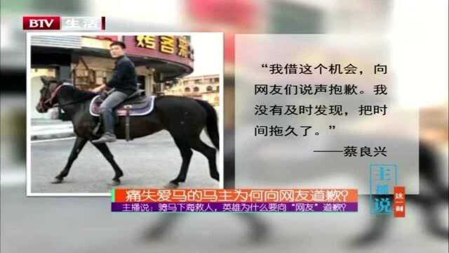 痛失爱马的马主为何向网友道歉?