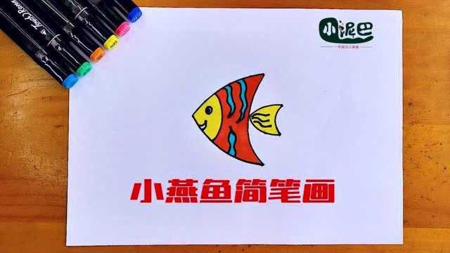 小燕鱼简笔画,看一遍就会,零基础也能学