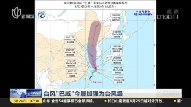 台风“巴威”今晨加强为台风级:江浙沪等沿海将出现风暴潮过程