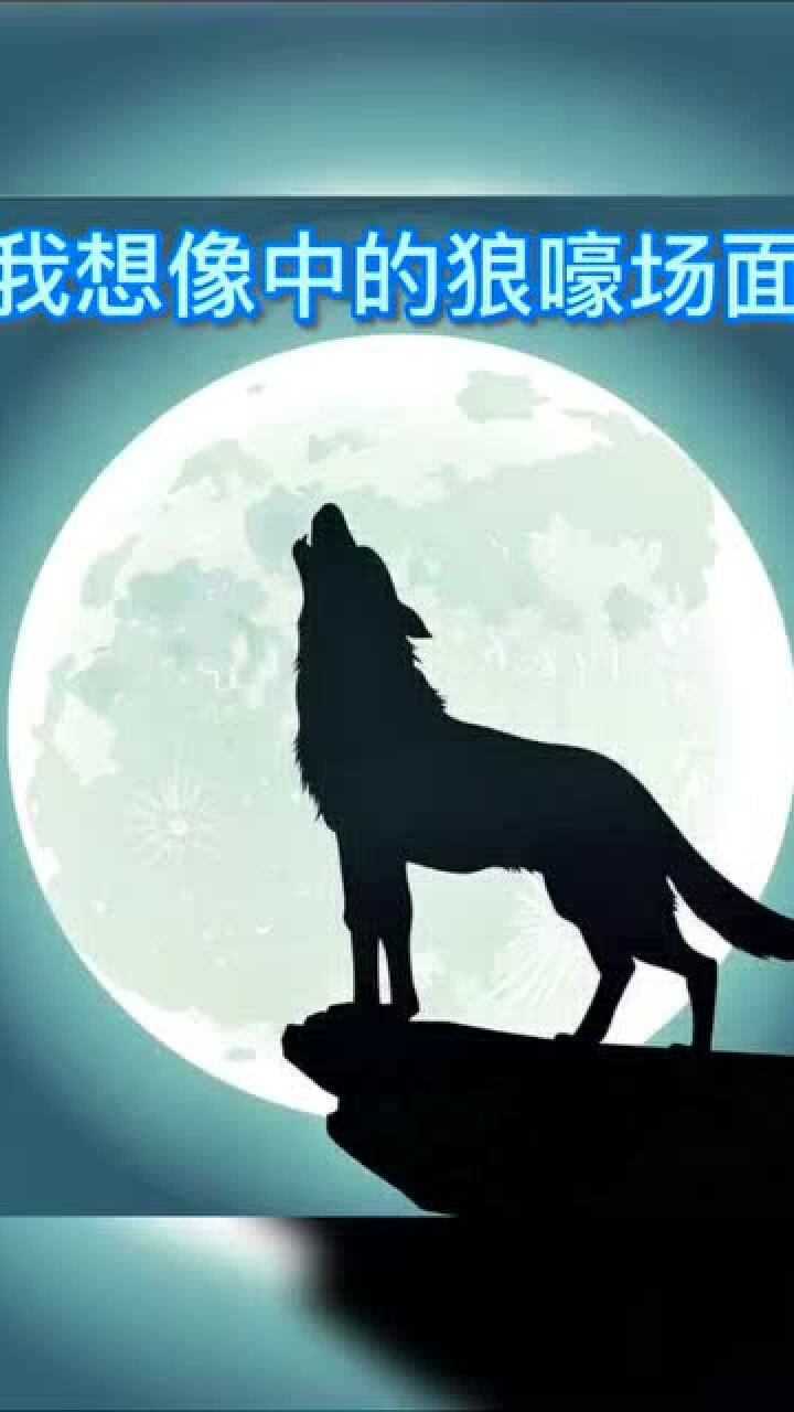 不是所有的狼嚎叫都是惊天动地的也有弱不经风的