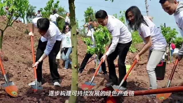 重磅!大自然家居董事长佘学彬荣获“年度责任人物”称号