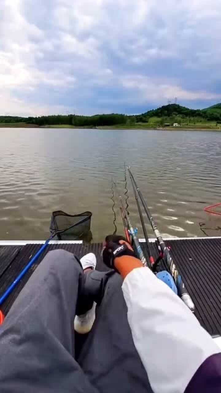 野外钓鱼的乐趣在于,你永远不知道你会钓上来什么鱼,老铁们觉得呢