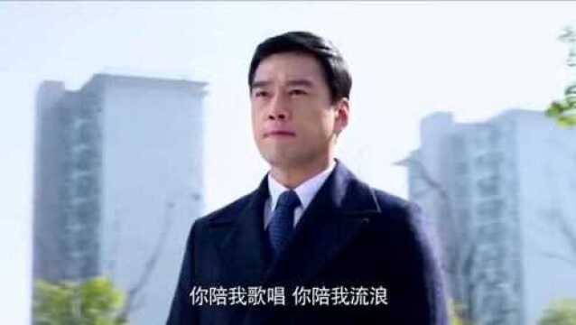 沈志泽为给公司拉投资,找了很多家投资公司,但是一点结果都没有