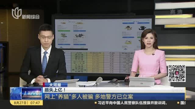 大河报:损失上亿! 网上“养猫”多人被骗 多地警方已立案