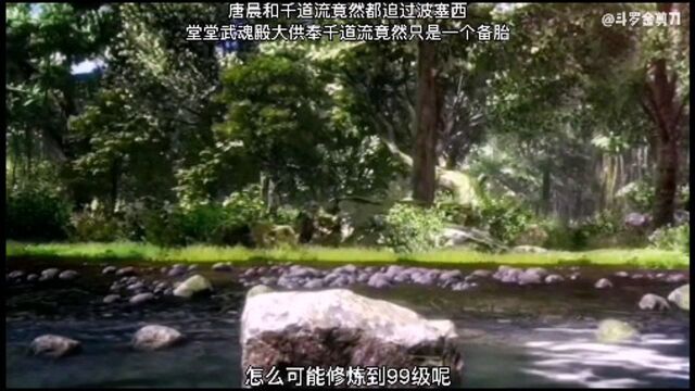 唐晨和千道流竟然都追过波塞西,堂堂武魂殿大供奉竟然只是备胎