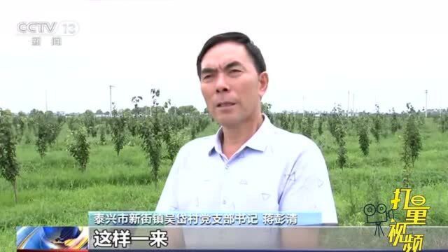 江苏新街:实施产业联动发展助力脱贫攻坚央视网