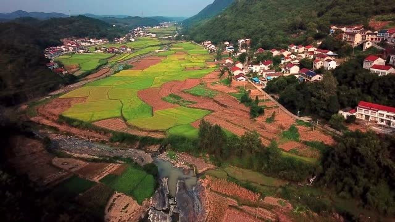 湖南澧县唯一的大山村甘溪镇田冲稻子熟了