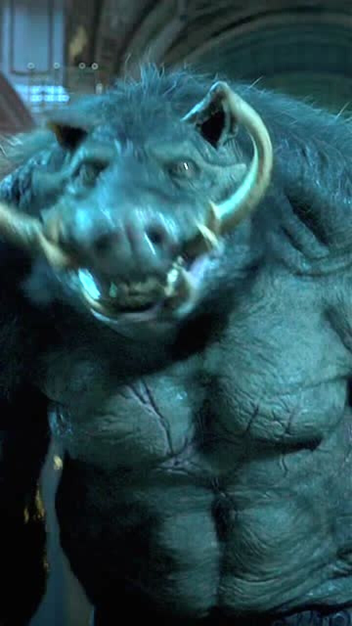 奶凶奶凶的野猪怪,地狱男爵竟然打不过