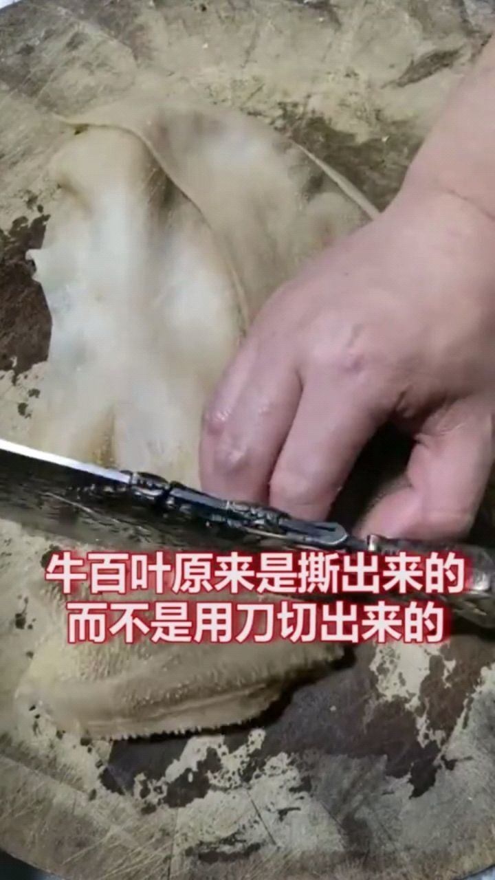 牛百叶原来是撕出来的,而不是用刀切出来的