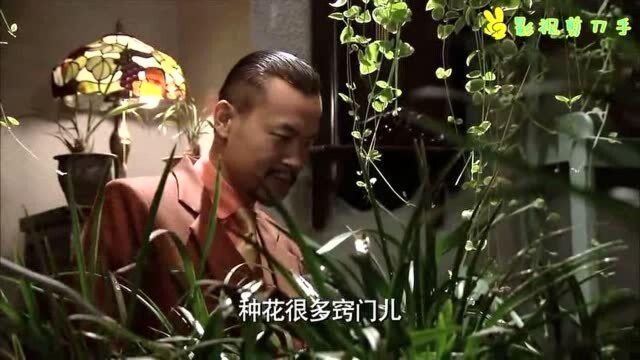 花房太漂亮了,我也想要一个!