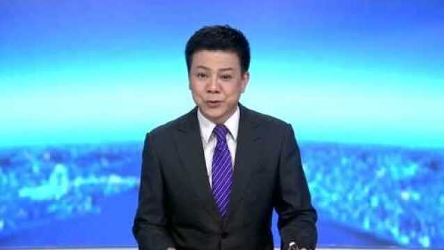 国庆假期,在深圳看意大利“数字乌菲展”,逛“红立方”科技馆