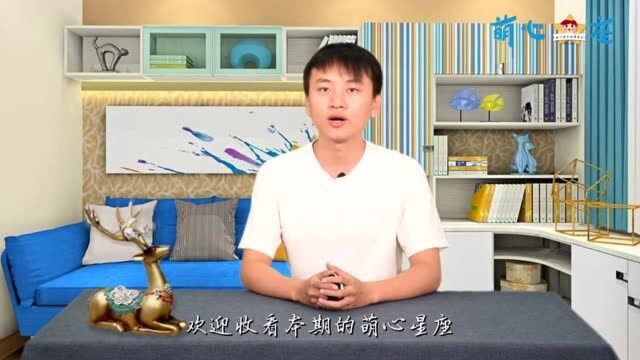 什么星座的孩子,容易让父母感到骄傲?