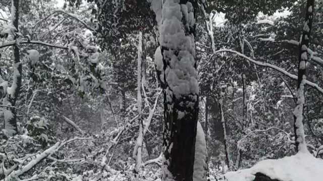 杭州下雪北高峰置身仙境中,这样的景致一般难见到,错过要等一年