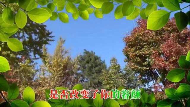 香山游记,攀登陡峭石头台阶,成功到达主峰,尽赏美景