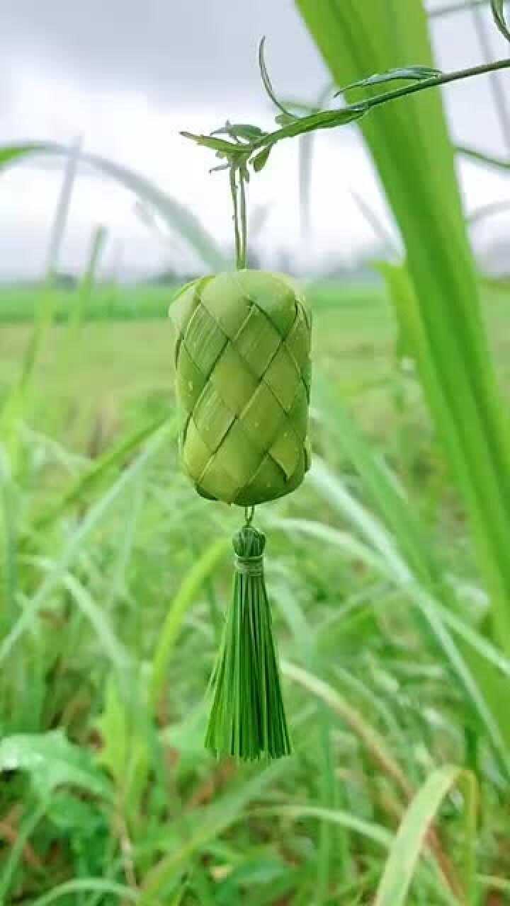 表姐太厉害了用粽叶做手工两个小时做出一个小灯笼