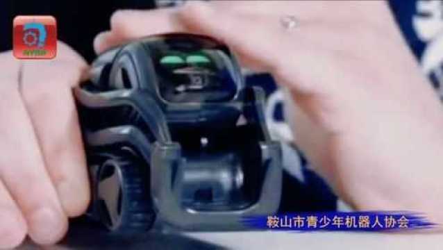 美国ANKI Cozmo/Vector AI智能机器人