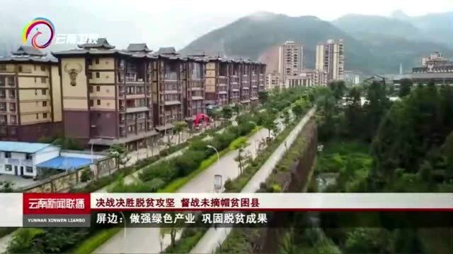 屏边:做强绿色产业 巩固脱贫成果