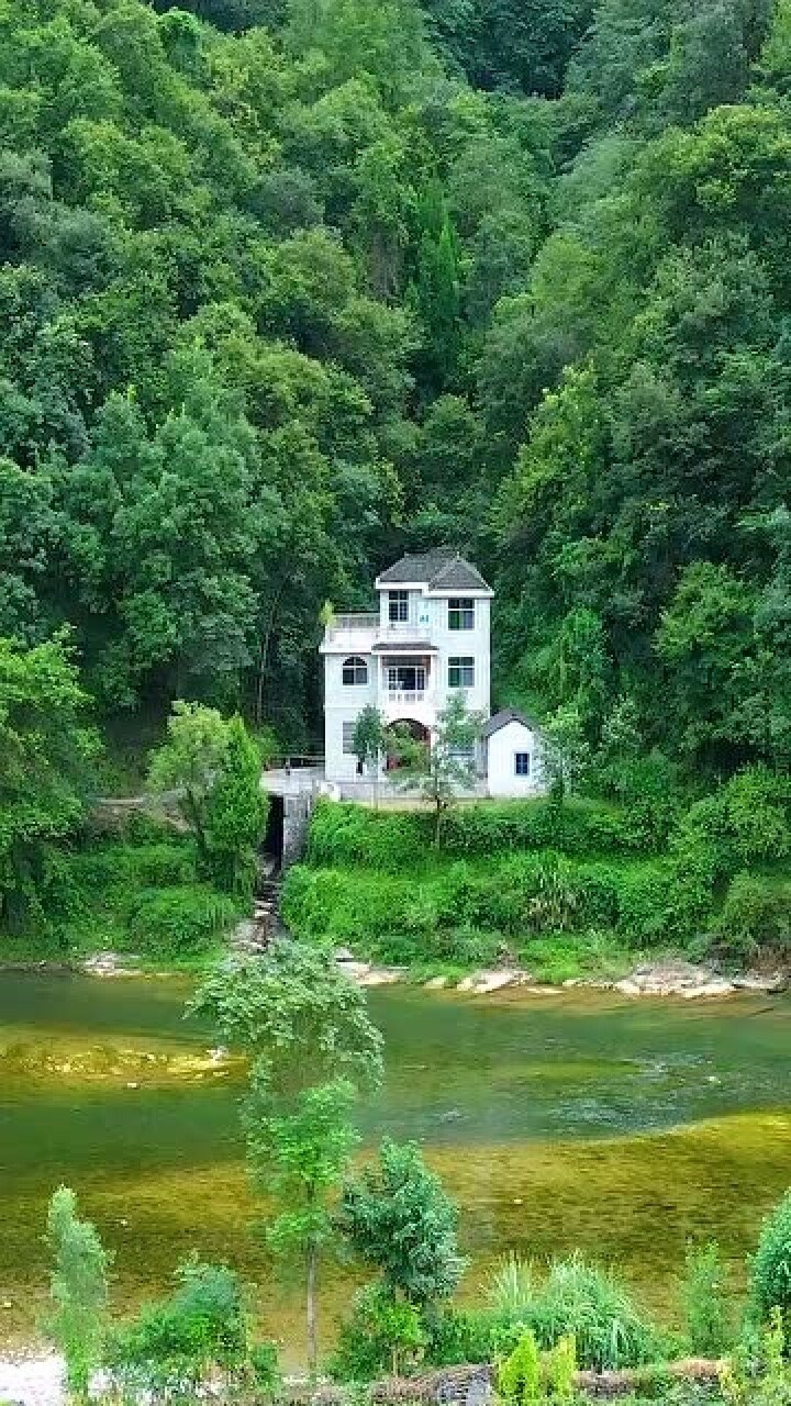 贵州一户人家把房子建在深山老林里,车路都不通,这地方住着不害怕吗?