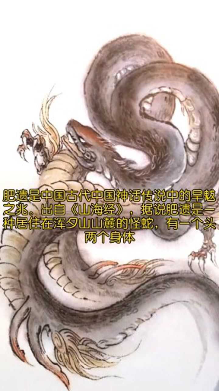 山海经异兽鉴～肥遗