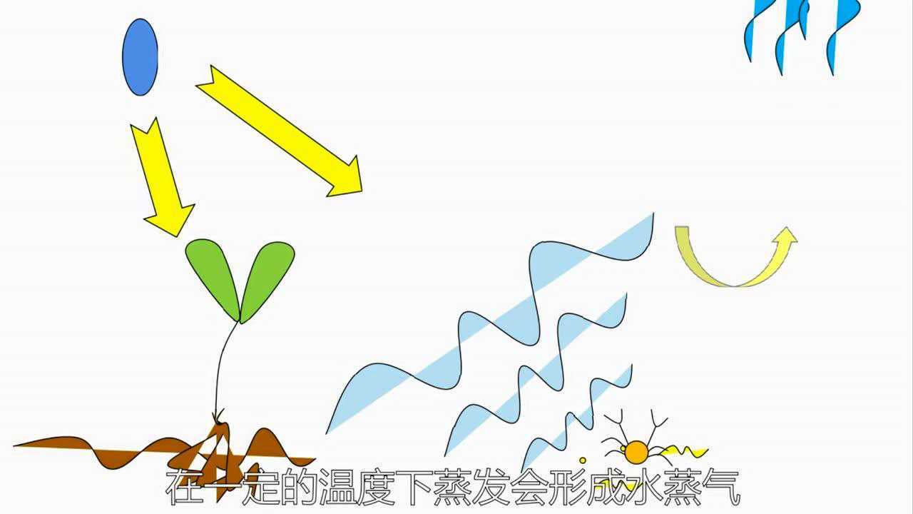 雨的形成(科普动画)