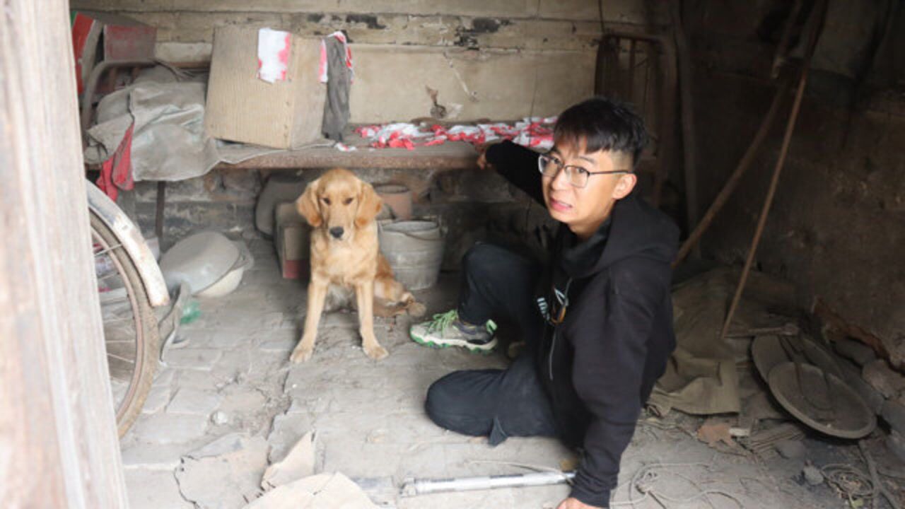 老宅传出哭声,小伙进去探险金毛发现好多染了红色的纸,咋回事?