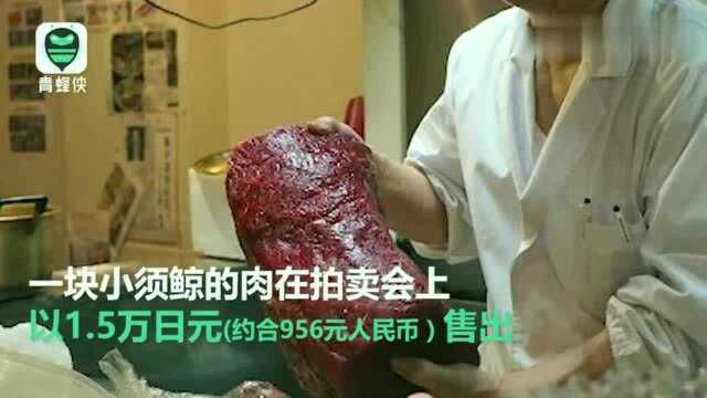 日本恢复商业捕鲸后开拍鲸鱼肉,一块小须鲸的肉以1.5万日元售出